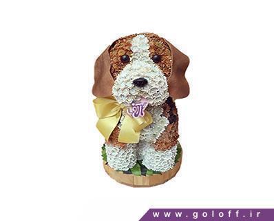 سفارش آنلاین گل - گل تولد نوزاد سگ پاپیون دار - Flower Toy | گل آف